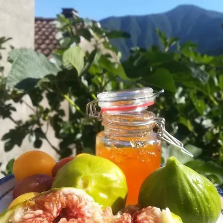 Al Corniolo