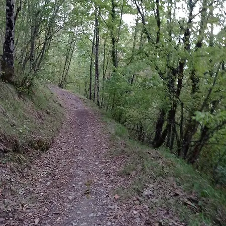 Bed & Breakfast Al Corniolo *